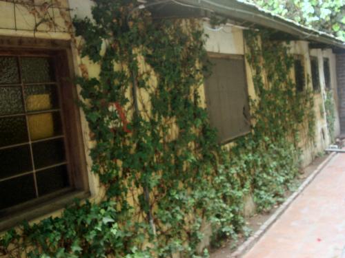 Fotografia de rizs - Galeria Fotografica: Fotos de Ensenada - Foto: bodegas 3