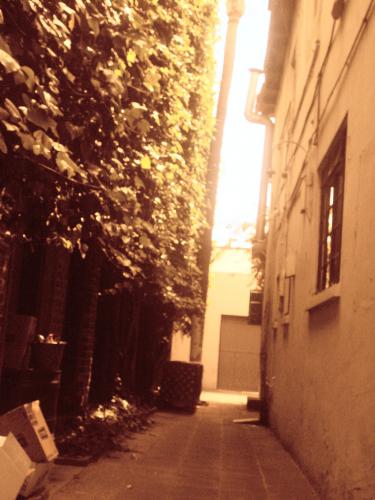 Fotografia de rizs - Galeria Fotografica: Fotos de Ensenada - Foto: bodegas 4