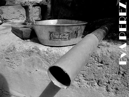 Fotografia de Eva Prez - Galeria Fotografica: Criaturas - Foto: Rural I