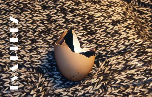 Fotografia de Eva Prez - Galeria Fotografica: Criaturas - Foto: Grito