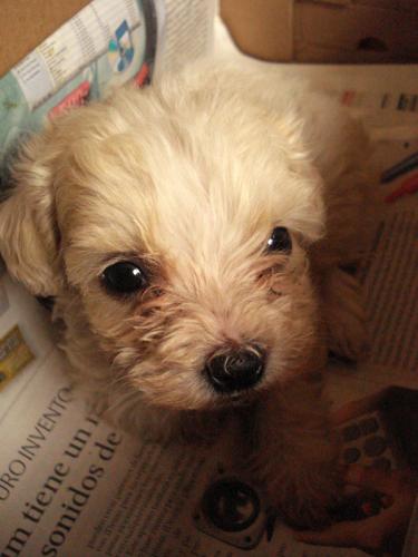 Fotografia de Vctor Vargas - Galeria Fotografica: Ecuador - Foto: El Bubba