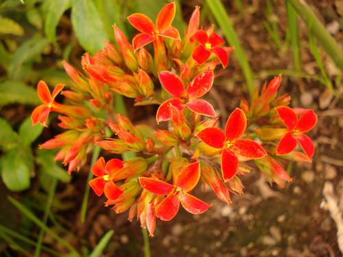 Fotografia de Vctor Vargas - Galeria Fotografica: Ecuador - Foto: 