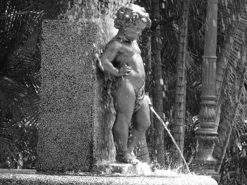 Fotografia de producciones lazaro - Galeria Fotografica: BLANCO Y NEGRO - Foto: 