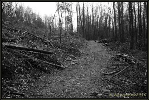 Fotografia de X.Alvarez - Galeria Fotografica: Paisajes B/N - Foto: Devastacin