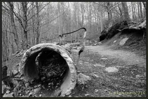 Fotografia de X.Alvarez - Galeria Fotografica: Paisajes B/N - Foto: El Paso del Hombre