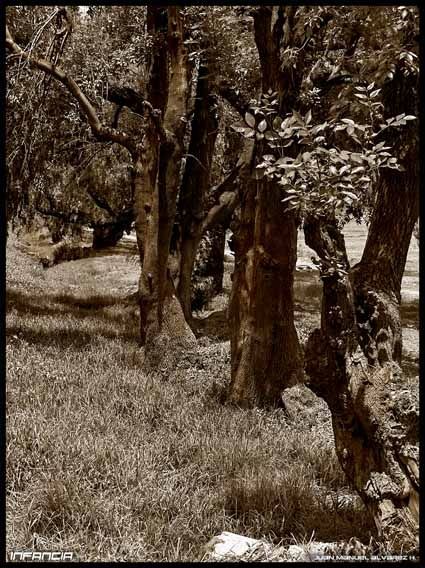 Fotografia de JUAN MANUEL ALVAREZ - Galeria Fotografica: NATURA - Foto: 