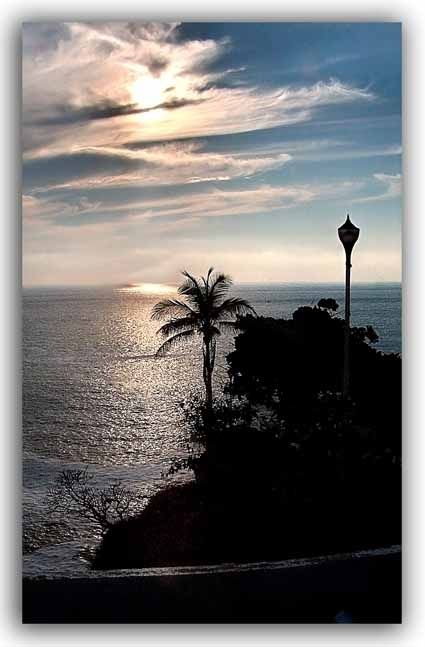 Fotografia de JUAN MANUEL ALVAREZ - Galeria Fotografica: NATURA - Foto: 