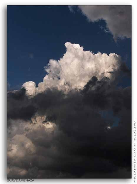 Fotografia de JUAN MANUEL ALVAREZ - Galeria Fotografica: NATURA - Foto: 