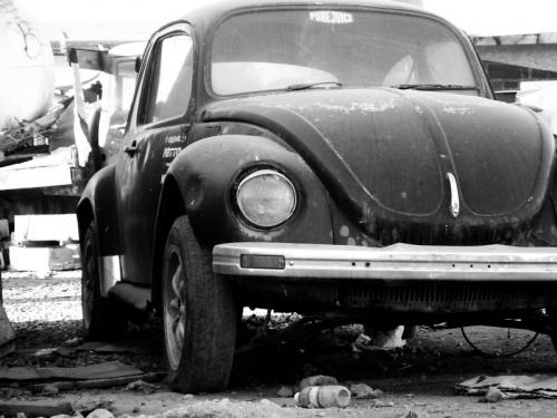 Fotografia de rizs - Galeria Fotografica: un poco mas de mi mundo... - Foto: bocho