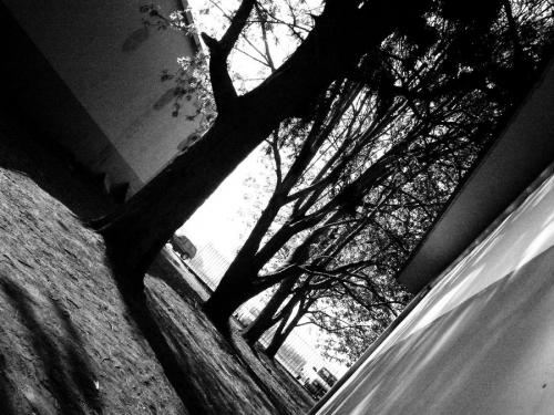 Fotografia de rizs - Galeria Fotografica: un poco mas de mi mundo... - Foto: b/w