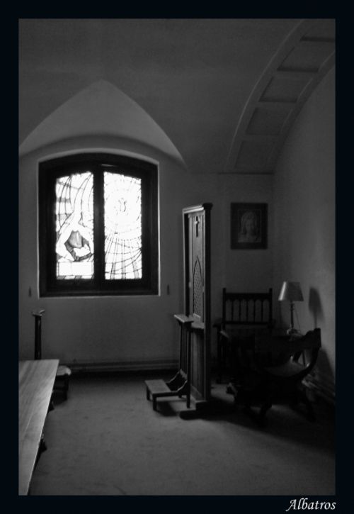 Fotografia de albatros - Galeria Fotografica: La Hermita - Foto: La Hermita