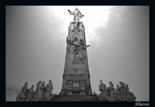 Fotografia de albatros - Galeria Fotografica: La Hermita - Foto: Los Angeles