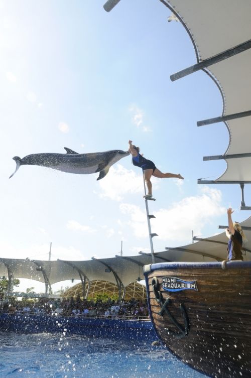 Fotografia de patricio - Galeria Fotografica: Belleza Animal - Foto: 