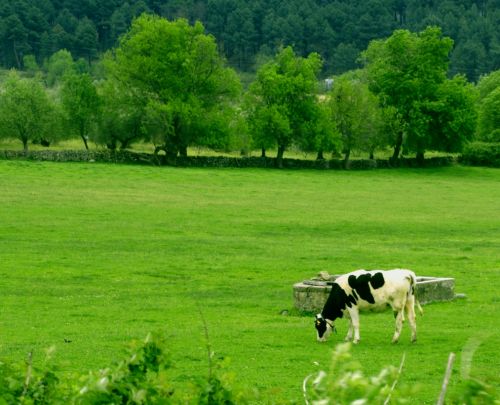 Fotografia de MILLO - Galeria Fotografica: LUGARES - Foto: 