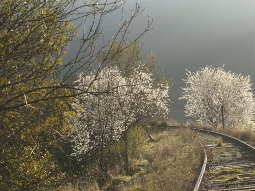 Fotografia de MILLO - Galeria Fotografica: LUGARES - Foto: 