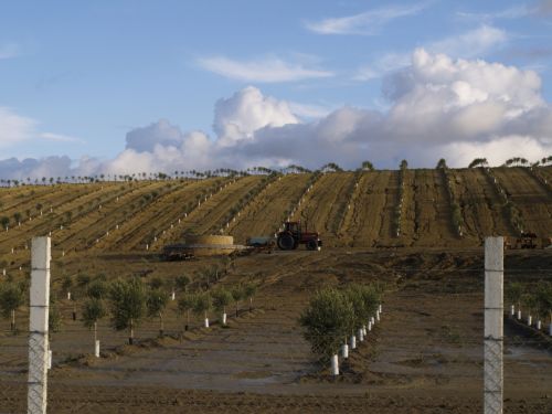 Fotografia de MILLO - Galeria Fotografica: LUGARES - Foto: 