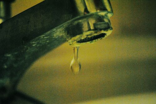 Fotografia de Mark - Galeria Fotografica: Album - Foto: 