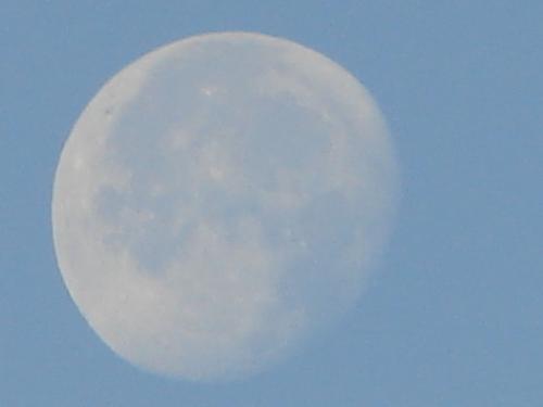 Fotografia de ALFREDO VELASCO - Galeria Fotografica: observando el cielo - Foto: luna de dia 1