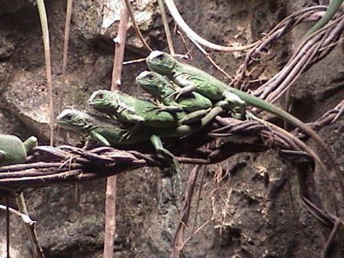 Fotografia de ALFREDO VELASCO - Galeria Fotografica: El rincon de Alf - Foto: sociedad I