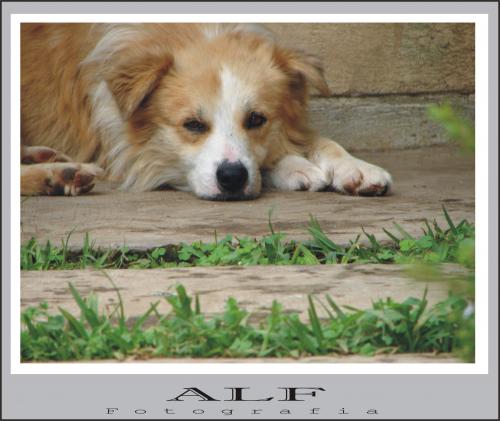 Fotografia de ALFREDO VELASCO - Galeria Fotografica: El rincon de Alf - Foto: vigia