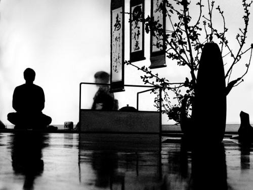 Fotografia de Patricia Lpez - Galeria Fotografica: espectculos - Foto: ceremonia del te