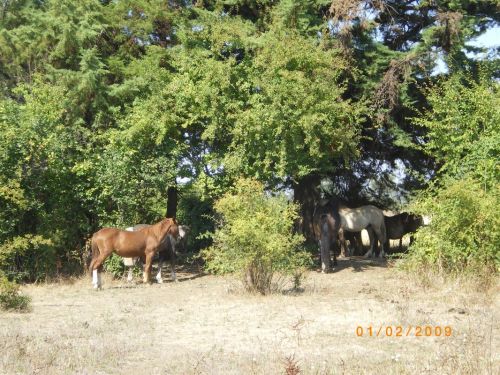 Fotografia de gisela - Galeria Fotografica: gisela - Foto: 