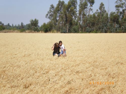 Fotografia de gisela - Galeria Fotografica: gisela - Foto: 