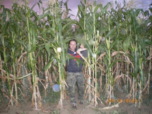 Fotografia de gisela - Galeria Fotografica: gisela - Foto: 