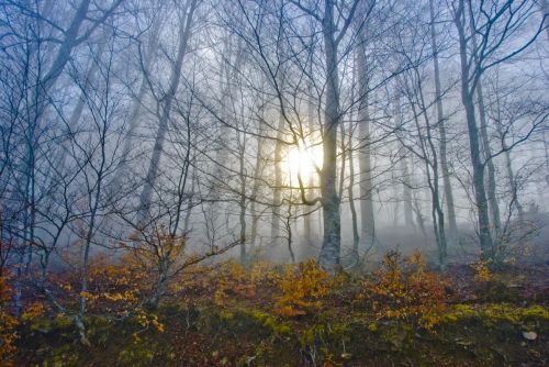 Fotografia de Jess - Galeria Fotografica: Paisajes - Foto: 