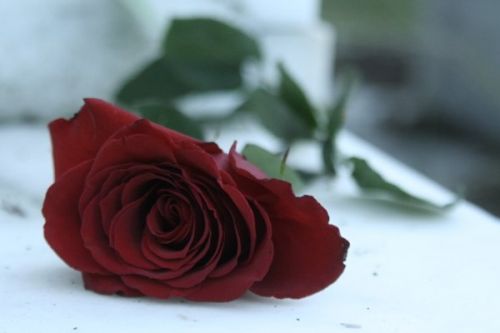 Fotografia de goth pic - Galeria Fotografica: Mi vision... - Foto: 