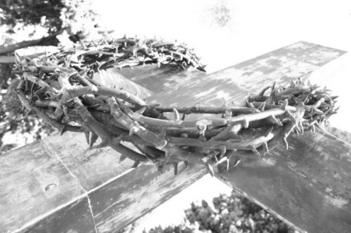 Fotografia de goth pic - Galeria Fotografica: Mi vision... - Foto: 