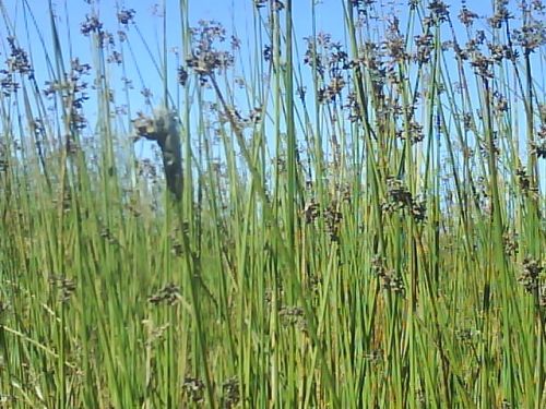 Fotografia de rhafhiqui - Galeria Fotografica: de viajes y paisajes - Foto: 