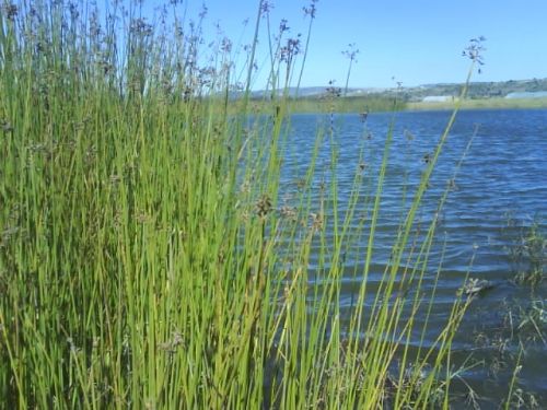 Fotografia de rhafhiqui - Galeria Fotografica: de viajes y paisajes - Foto: 