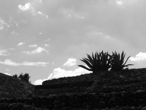 Fotografia de ven23 - Galeria Fotografica: De Sombras y Luces - Foto: Natural