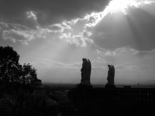 Fotografia de ven23 - Galeria Fotografica: De Sombras y Luces - Foto: Vigilando