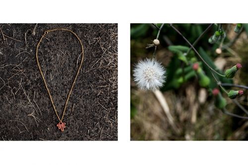 Fotografia de Alcuadrado Fotografa S.A. - Galeria Fotografica: Publicidad / Productos - Foto: 