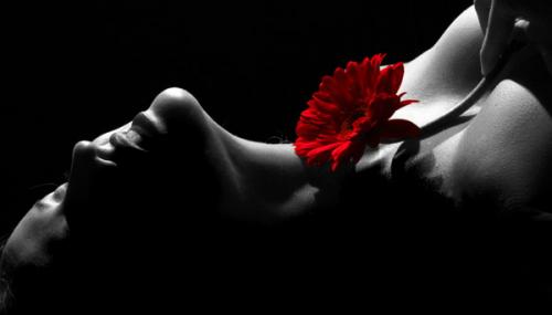 Fotografia de Felipe Bohorquez - Galeria Fotografica: Fotografia retratos - Foto: pasion