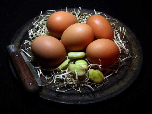 Fotografia de fotocorus - Galeria Fotografica: Variedades - Foto: huevos y habas