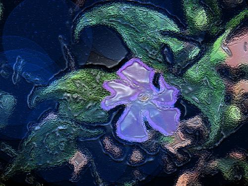 Fotografia de artenet - Galeria Fotografica: Galeria digital - Foto: VINCA1