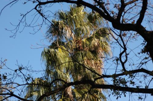 Fotografia de Oscar Lastera Sanchez - Galeria Fotografica: paseo por barcelona - Foto: cemento?