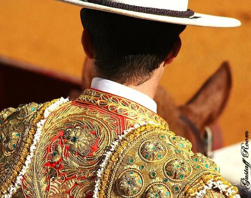 Fotografia de Gustaff Room - Galeria Fotografica: Taurinoo. - Foto: Turinoo