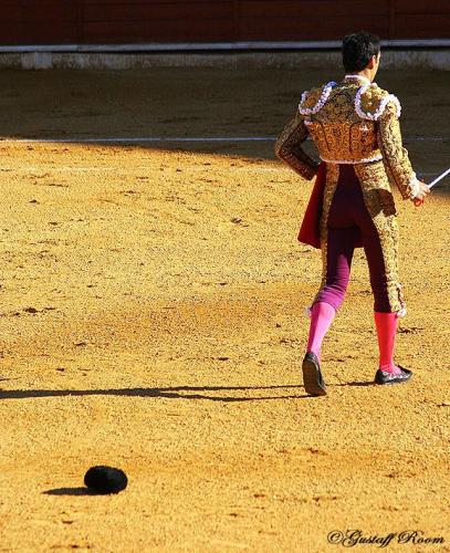 Fotografia de Gustaff Room - Galeria Fotografica: Taurinoo. - Foto: Taurinoo.