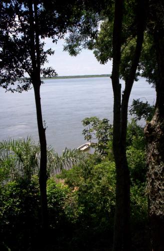 Fotografia de Ivan Pawluk - Galeria Fotografica: NATURALs - Foto: Costa alta