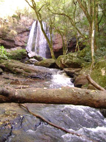 Fotografia de Ivan Pawluk - Galeria Fotografica: NATURALs - Foto: CASCADA