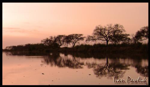 Fotografia de Ivan Pawluk - Galeria Fotografica: RIOS (PARAN) - Foto: ESPEJO DORADO