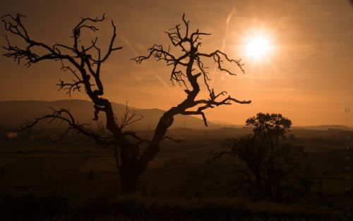 Fotografia de David Isidoro Garcia - Galeria Fotografica: Paisajes - Foto: 