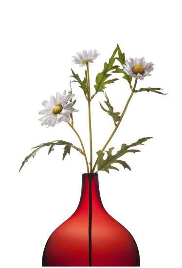 Fotografia de Miguel Monasterio - Galeria Fotografica: Bodegon - Foto: 