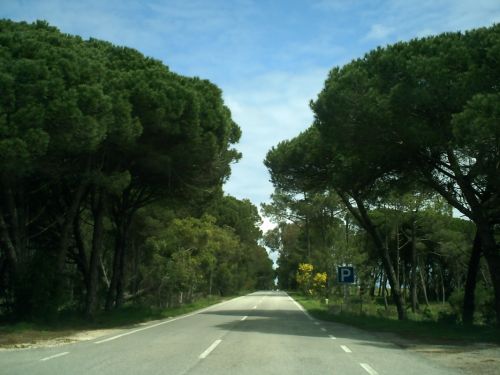 Fotografia de mirada en silencio - Galeria Fotografica: Portugal - Foto: 