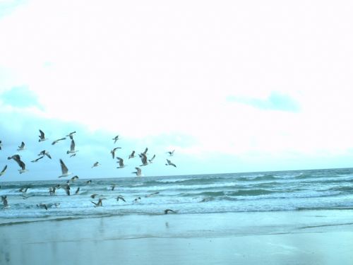 Fotografia de mirada en silencio - Galeria Fotografica: Portugal - Foto: 