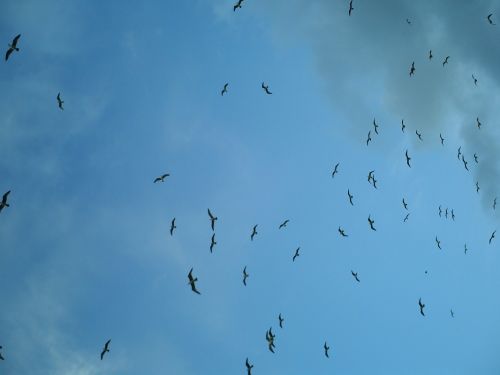 Fotografia de mirada en silencio - Galeria Fotografica: Portugal - Foto: 